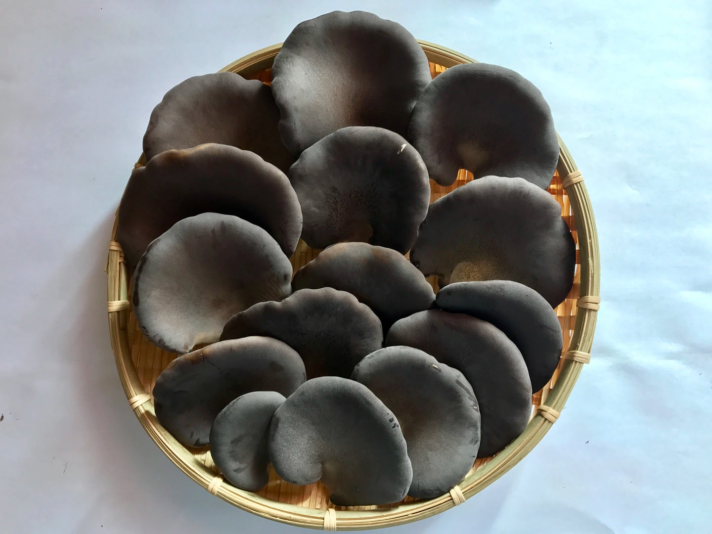 黒あわび茸の佃煮(瓶詰タイプ)