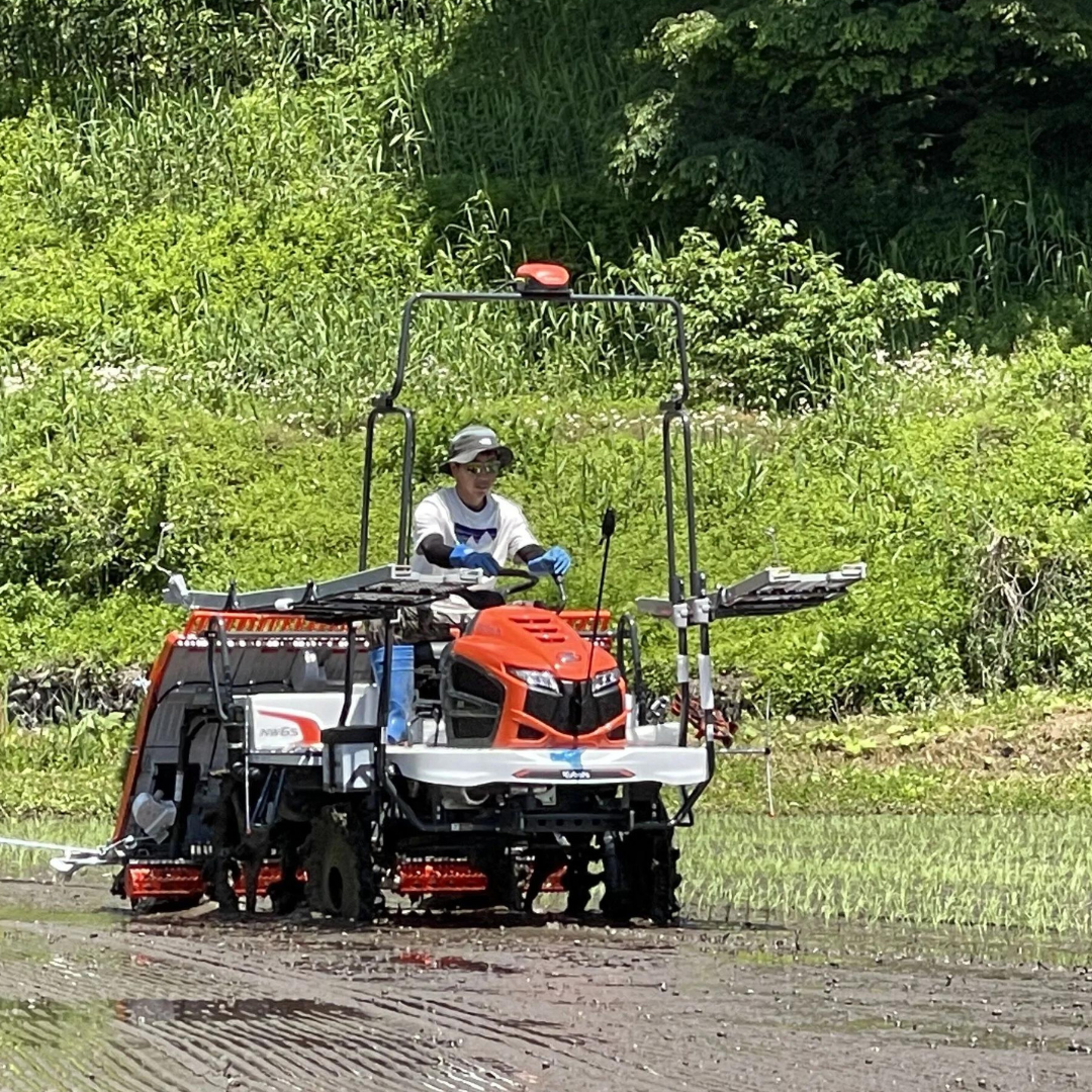 七○八米 【三味一体】白米 コシヒカリ 真空パック